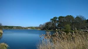 lac rille